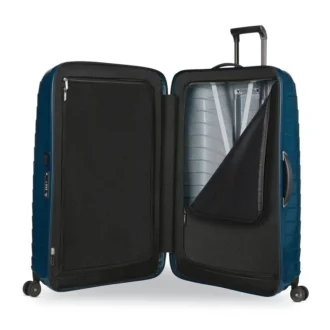 Proxis Extra Large Spinner