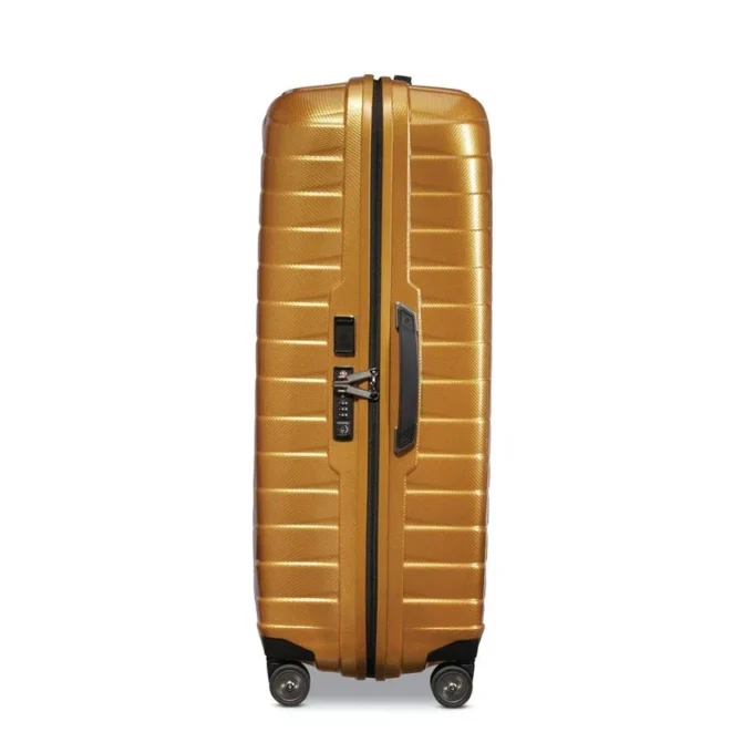 Proxis Extra Large Spinner