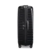 Proxis Extra Large Spinner