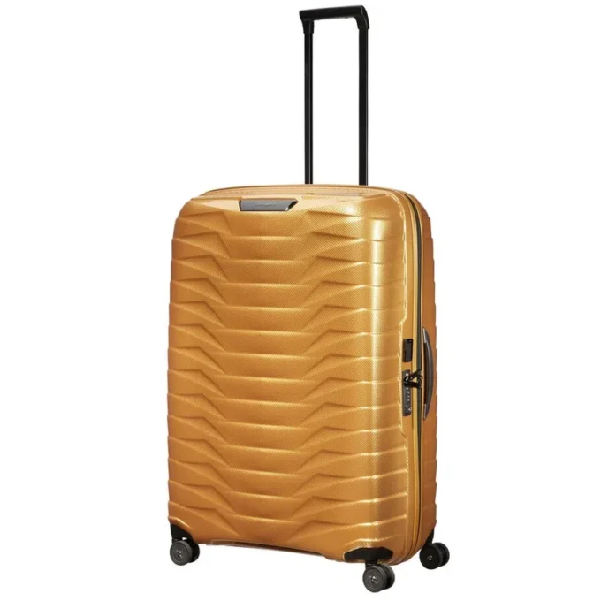Proxis Extra Large Spinner