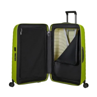 Proxis Large Spinner