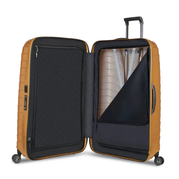 Proxis Large Spinner