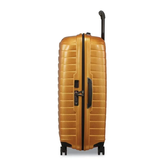 Proxis Large Spinner