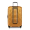 Proxis Large Spinner
