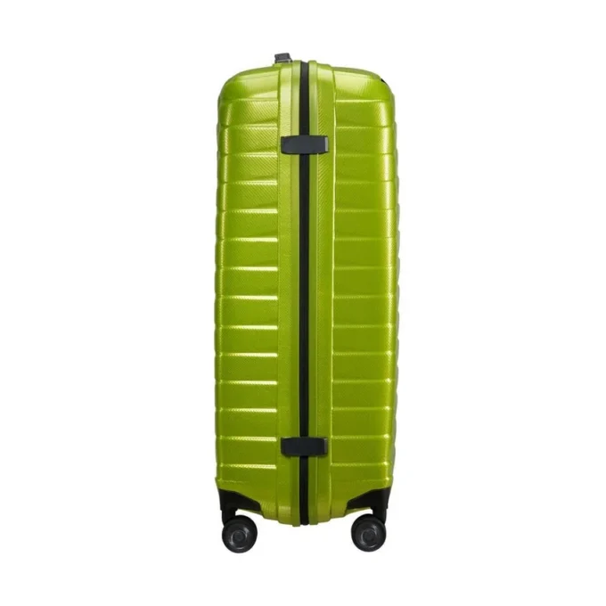 Proxis Large Spinner