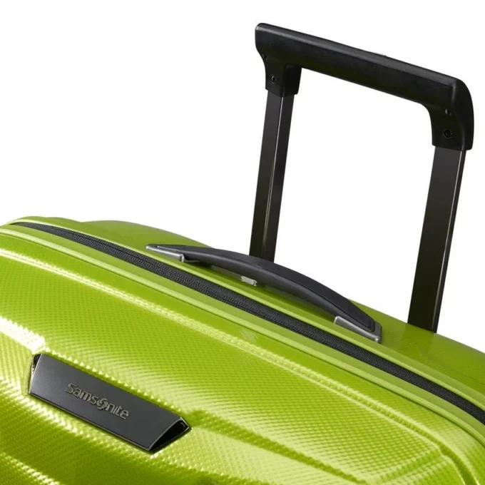 Proxis Large Spinner